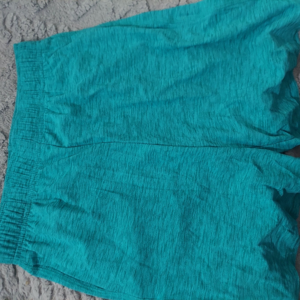 Teal Casual Shorts